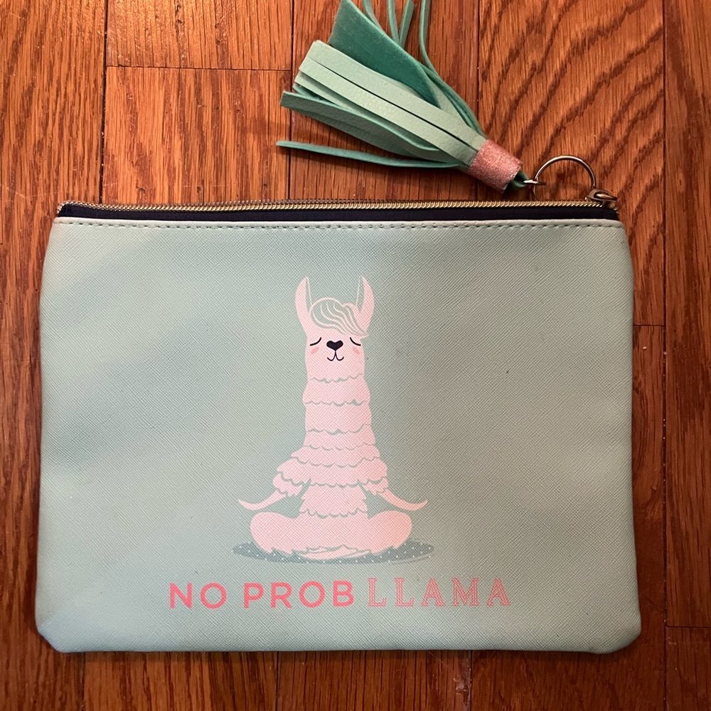 ⚠️ 5/25$ Ruby + Cash Mint Green Llama cosmetic bag w/tassel